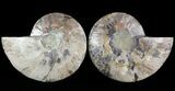 Cut/Polished Ammonite Pair - Agatized #47685-1